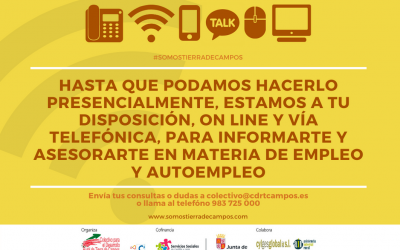 Asesoramiento en materia de empleo y emprendimiento