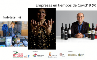 Empresas durante el Covid19 V
