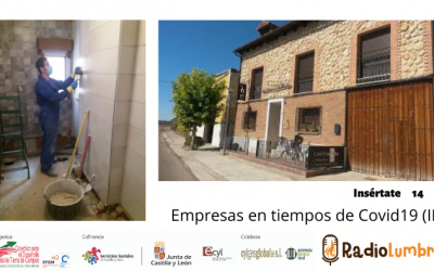 Empresas durante el Covid 3