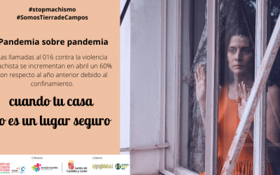 Pandemia sobre pandemia cuando “Casa” es el lugar menos seguro donde puedes estar