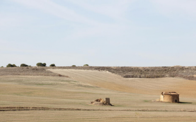 Sostenibilidad y políticas de desarrollo rural: el caso de la Tierra de Campos vallisoletana