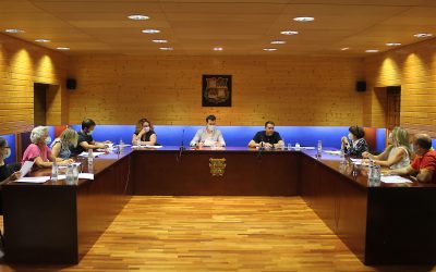 El Colectivo Tierra de Campos aprueba más de medio millón de euros para ayudar a las empresas