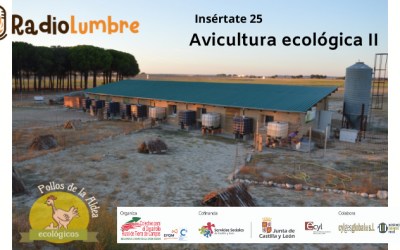 “Avicultura ecológica” II