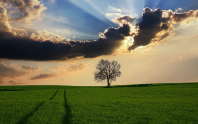 Género y cambio climático. Un diagnóstico de situación