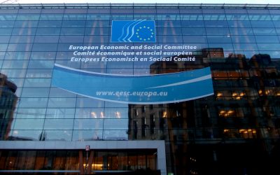 El Comité Económico y Social Europeo apuesta por potenciar de manera decidida los territorios rurales, en especial los más vulnerables