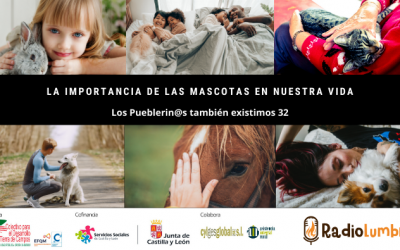 La importancia de las mascotas en nuestra vida.