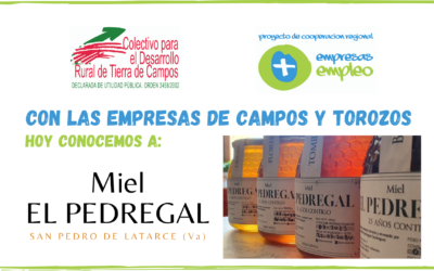 Conocemos la fábrica artesanal de miel “EL PEDREGAL”