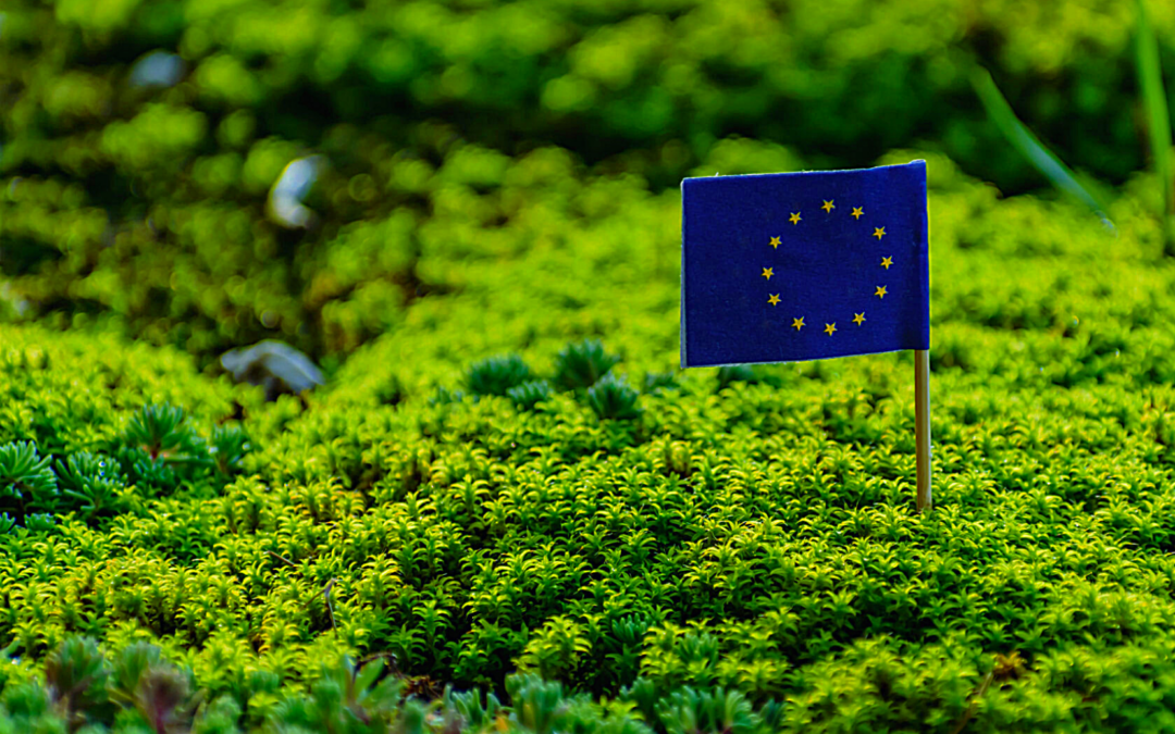 La Unión Europea vertebra todas sus políticas alrededor del “Pacto Verde Europeo”