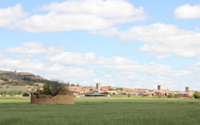 El Senado aprueba iniciativas para mejorar la vida en el medio rural