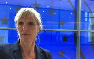 Los GAL mostraron verdadera inventiva, flexibilidad y capacidad de reaccionar a la crisis: son tan locales que reaccionan rápido y hacen exactamente lo que necesitan