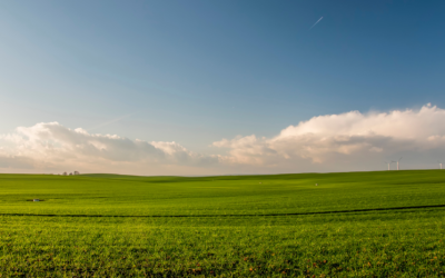 La Junta de Castilla y León amplía el plazo de solicitud de la línea de apoyo a las explotaciones agrarias e industrias agroalimentarias destinada a paliar los efectos del COVID-19