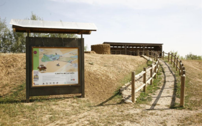 Disfrute de la naturaleza por los Humedales de Tierra de Campos
