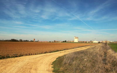 La Comisión recomienda a los Estados miembros reforzar el desarrollo local participativo en sus planes estratégicos para la PAC