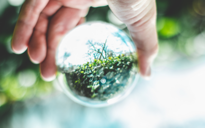 El MITECO lanza una expresión de interés para fomentar la economía circular en el ámbito de la empresa como instrumento para la recuperación