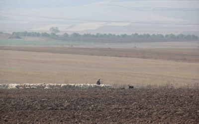 León y Zamora centran la hemorragia demográfica de Castilla y León