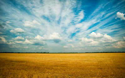 Siete provincias, en el núcleo duro de la España despoblada
