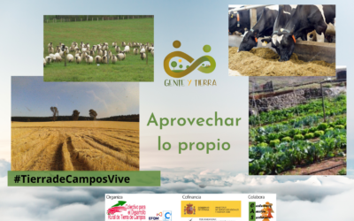 Aprovechar lo propio