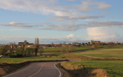 El Colectivo Tierra de Campos realizará un diagnóstico para reactivar y potenciar la economía rural en ‘Campos y Torozos’