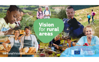 Los territorios hablan sobre su visión a largo plazo de las áreas rurales