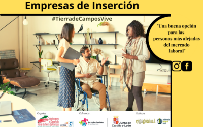 Empresas de inserción