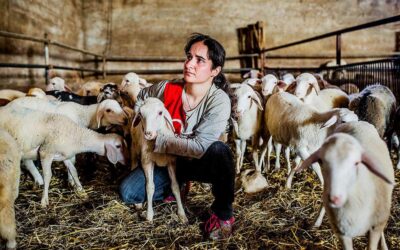 Un empujón para arrancar