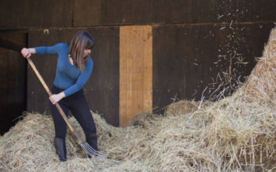 El Gobierno prepara un ‘Erasmus rural’ para que los jóvenes tengan su primera experiencia laboral en pueblos
