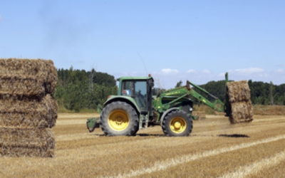 Aprobadas las bases de incentivos para la incorporación de jóvenes de la Diputación de Soria