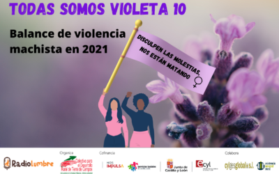 Balance del año en Viogen