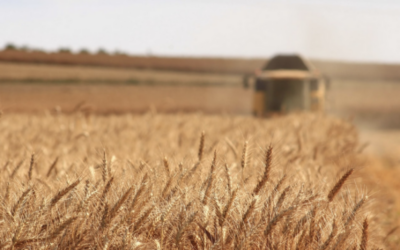 Agricultura abre el plazo para participar en un programa de formación para jóvenes