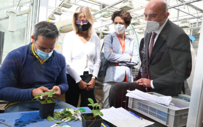 La Junta presenta el Plan Estratégico de Dinamización de la Investigación e Innovación Agraria y Agroalimentaria (2021-2027)