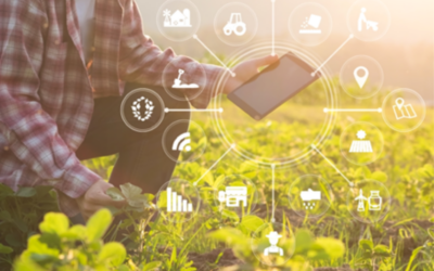 El impulso financiero que necesitas