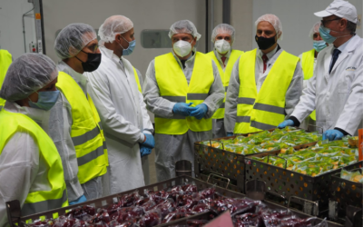 El relevo generacional y la presencia de la mujer en la actividad agraria son elementos fundamentales