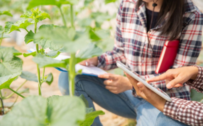 El Gobierno aprueba un real decreto para incentivar la igualdad de las mujeres en las explotaciones agrarias de titularidad compartida