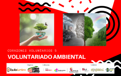 Voluntariado ambiental