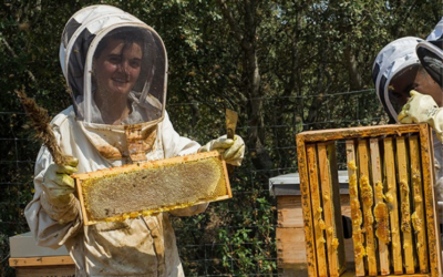 «Hay que ser persistentes con las ideas y proyectos»