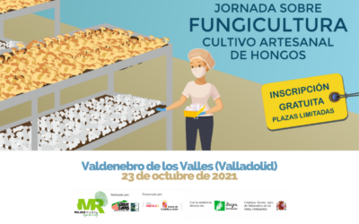 Jornada sobre Fungicultura. Cultivo artesanal de hongos