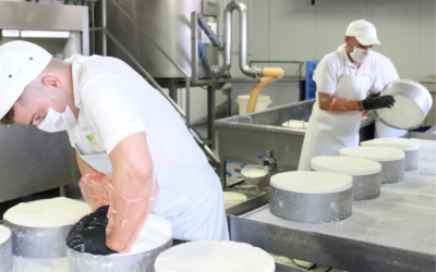 La Junta de Castilla y León convocará ayudas para la industria agroalimentaria con 70 millones de euros