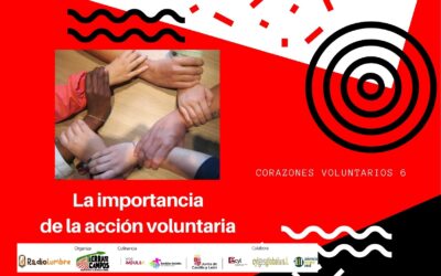 La importancia de la acción voluntaria