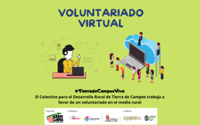 Voluntariado virtual