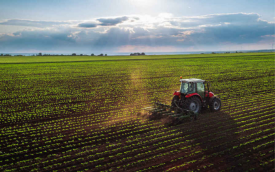 El sector agroalimentario de Castilla y León crece un 18% en los últimos cuatro años