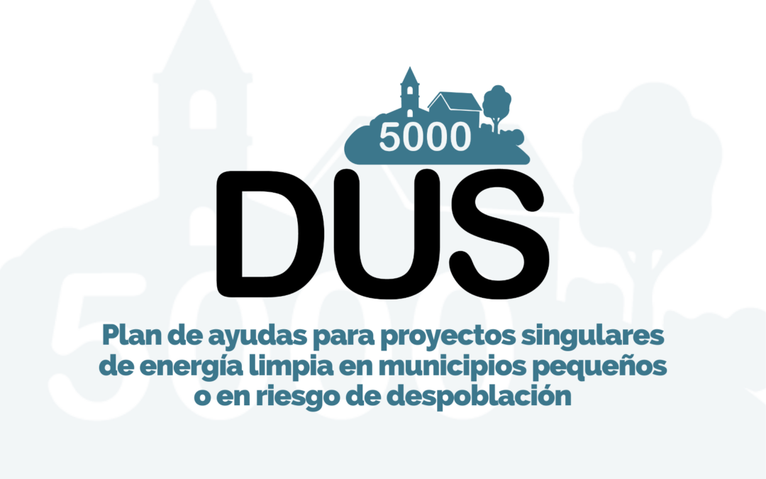 IDAE presenta el programa DUS 5.000 de ayudas para la energía limpia en municipios de reto demográfico