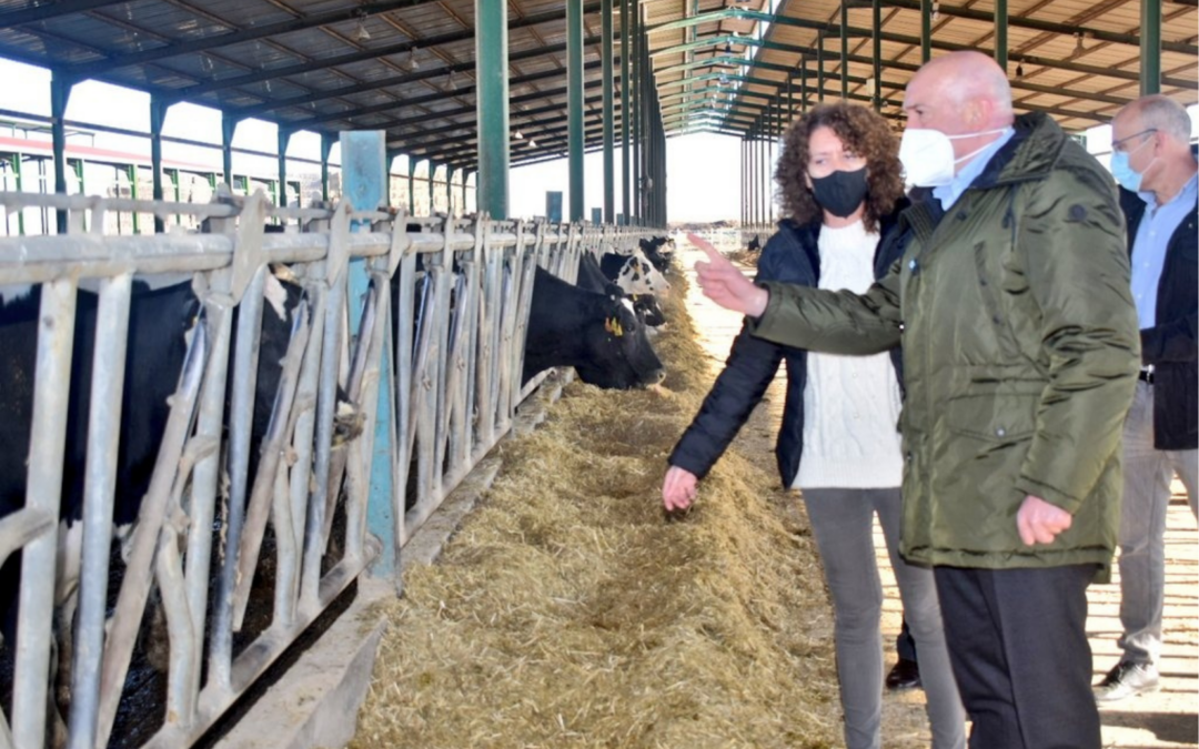 La Junta destina más de 5 millones de euros al sector de vacuno de leche