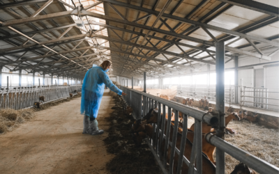 Castilla y León incorpora 657 jóvenes a la actividad agraria, un 33% mujeres