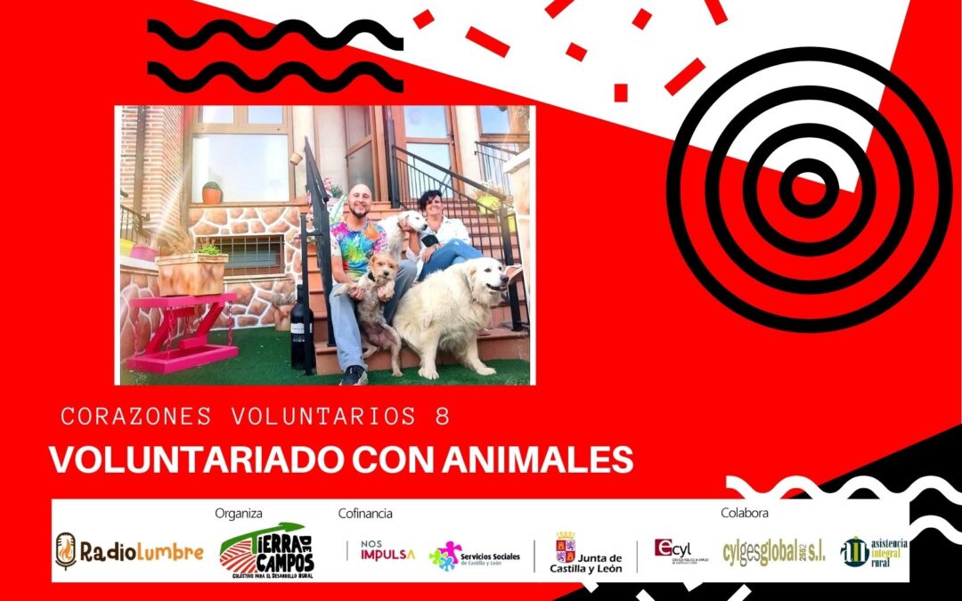 Voluntariado con animales