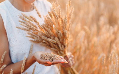 Se publican las nuevas líneas de ayudas del Plan Agricultura y Ganadería Joven