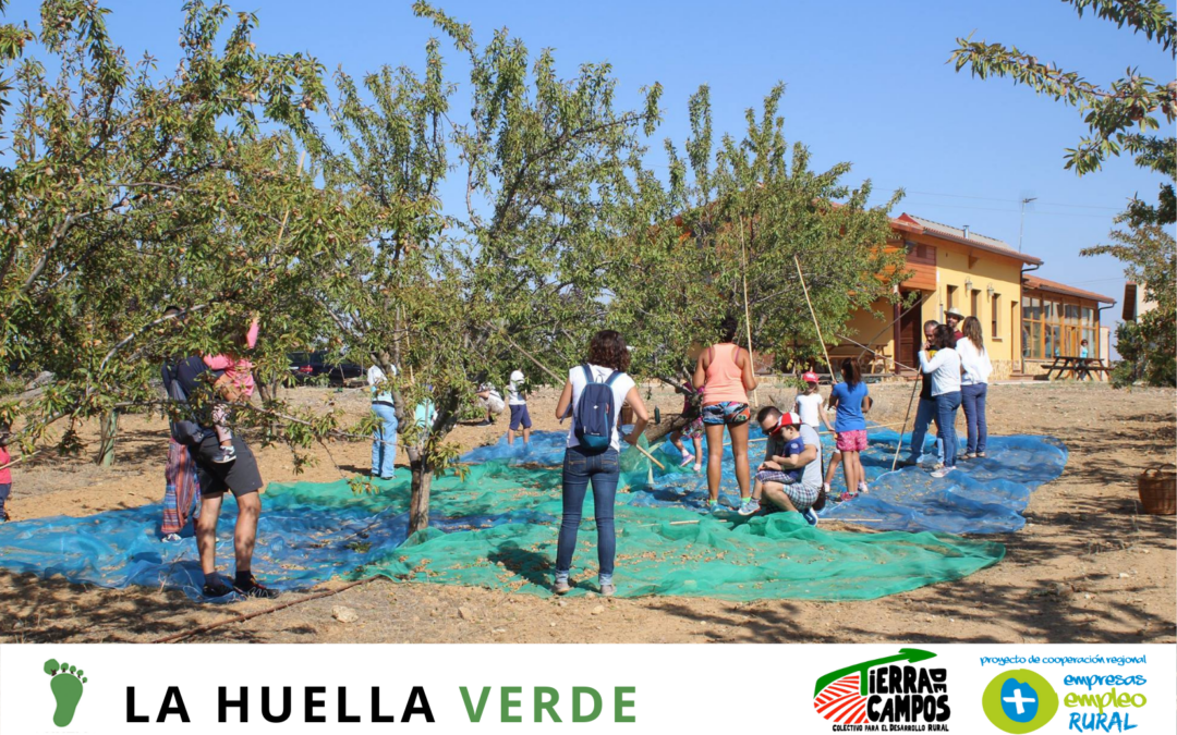 HUELLA VERDE, empresa de cultivo ecológico en el territorio ‘Campos y Torozos’