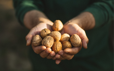 La agroalimentación, fuerza tractora de las exportaciones en Castilla y León