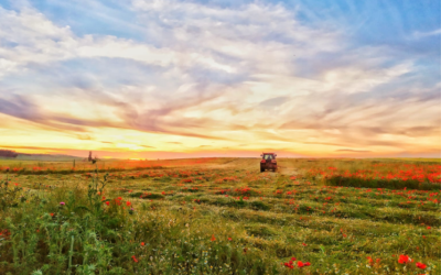 Comienza la campaña para presentar las solicitudes de ayudas directas de la PAC para 2022