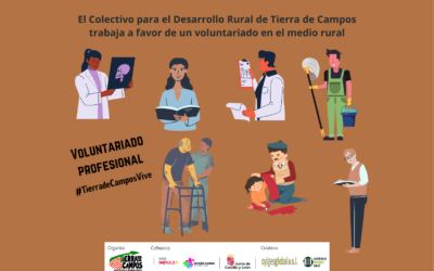 Voluntariado Profesional