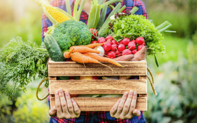 Autonomía y seguridad alimentaria como variables estratégicas de la política agroalimentaria en nuestra comunidad